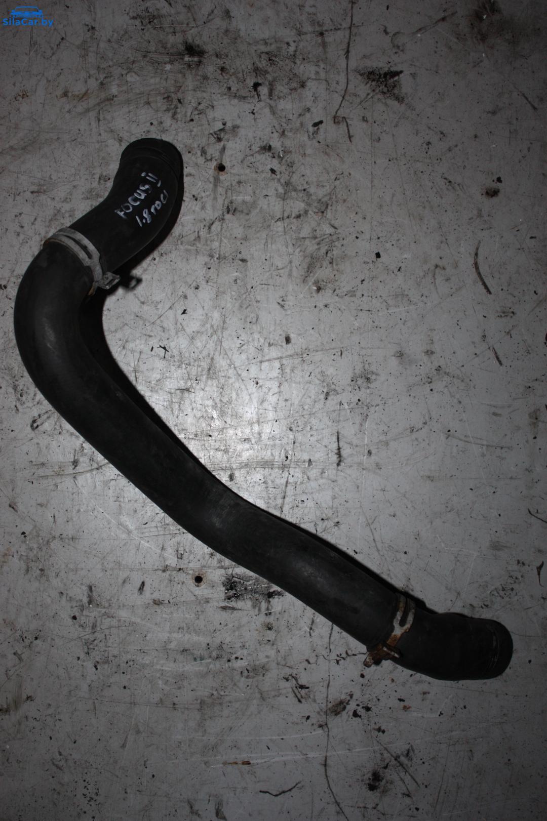 патрубок радиатора Ford Focus 2 поколение 2006, 1.8 л., KKDA, дизель - фото №1