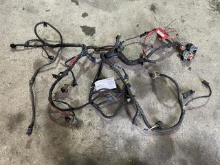 проводка двигателя Renault Scenic 2 поколение [рестайлинг] (2006 - 2010), 1.5 л., дизель, K4M766
