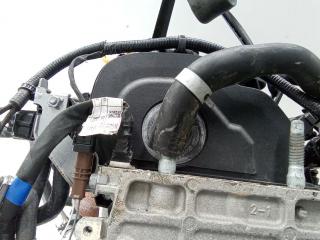 защита (кожух) ремня ГРМ Hyundai Tucson 4 поколение 2022, 1.6 л., дизель, АКПП