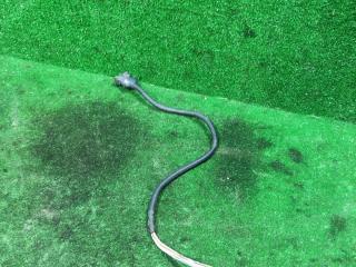 проводка MAN TGA 1 поколение 2005, 10.5 л., D 2066 LF 01, дизель, АКПП, 81254296626