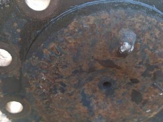 полуось задняя (приводной вал, ШРУС) MAN TGA 1 поколение 2006, 10.5 л., D 2066 LF 01, дизель, МКПП, 81355020147