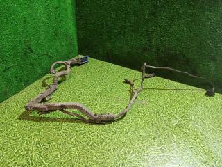 проводка двигателя DAF XF 105 1 поколение 2010, 12.9 л., MX 340, дизель, МКПП, 1804984