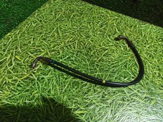 трубка подъема кабины Renault T-Series 1 поколение 2014, дизель, АКПП, 7421829968