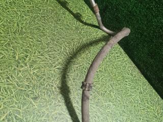 шланг тормозной MAN TGX 1 поколение 2008, 10.5 л., D 2066 LF 37, дизель, МКПП, 81512010405