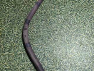 шланг тормозной DAF XF 105 1 поколение 2010, дизель, МКПП, 1398791