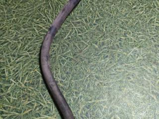 шланг тормозной DAF XF 105 1 поколение 2010, дизель, МКПП, 1398791