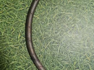 шланг компрессора MAN TGX 1 поколение 2008, 10.5 л., D 2066 LF 25, дизель, МКПП, 06540590007