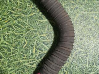 патрубок радиатора IVECO Stralis 2 поколение 2009, дизель, МКПП, 41034672