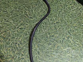 трубка подъема кабины MAN TGS 1 поколение 2008, 10.5 л., D 2066 LF 26, дизель, МКПП, 06540990208