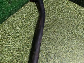 патрубок (трубопровод, шланг) MAN TGA 1 поколение 2003, 12.0 л., D 2866 LF28, дизель, МКПП, 81473040036