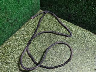 провод датчика износа тормозных колодок Mercedes-Benz Axor 1 поколение [рестайлинг] 2004, 12.0 л., OM 457.910, дизель, МКПП, A0005406636, 0005406636