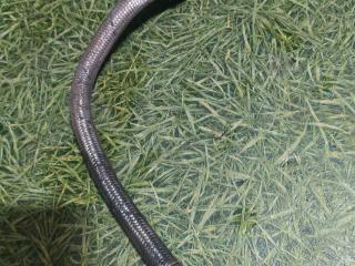 шланг компрессора MAN TGA 1 поколение 2005, 10.5 л., D 2066 LF 01, дизель, АКПП, 06540590007