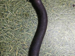 трубка маслозаливной горловины Mercedes-Benz Axor 1 поколение [рестайлинг] 2004, 12.0 л., OM 457.910, дизель, МКПП, 4570101364