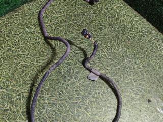 провод датчика износа тормозных колодок MAN TGA 1 поколение 2003, 12.0 л., D 2866 LF28, дизель, МКПП, 81254566602