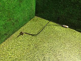 датчик давления (температуры) выхлопных газов MAN TGX 1 поколение 2008, 10.5 л., D 2066 LF 25, дизель, МКПП, 81274210264