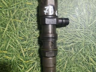 форсунка Mercedes-Benz Actros 4 поколение (MP4) 2012, 12.8 л., OM 471.909, дизель, АКПП, A4710700587, 4710700587, 0445120287