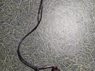 датчик давления (температуры) выхлопных газов MAN TGX 1 поколение 2008, 10.5 л., D 2066 LF 25, дизель, МКПП, 81274210263