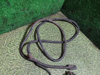 датчик ABS Volvo F 1986, 12.0 л., TD 122 F, дизель, МКПП, DATCHIKABSF12