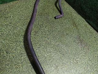 Трубки AdBlue Scania 5-Series 2007, 11.7 л., DC 12.15, дизель, АКПП, 1725934