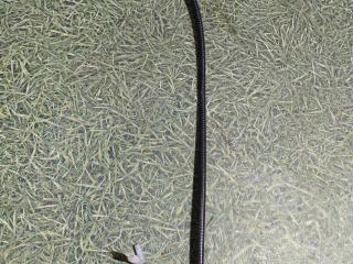 фонарь салона (плафон) DAF XF 105 1 поколение 2007, 12.9 л., MX 300, дизель, МКПП, грузовик, 1664207