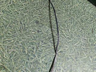 датчик давления (температуры) выхлопных газов MAN TGA 1 поколение 2007, 10.5 л., D 2066 LF 31, дизель, АКПП, 81274210253