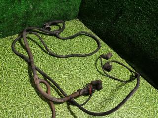 Проводка КПП MAN TGA 1 поколение 2006, 10.5 л., D 2066 LF 01, дизель, АКПП, 81254586519