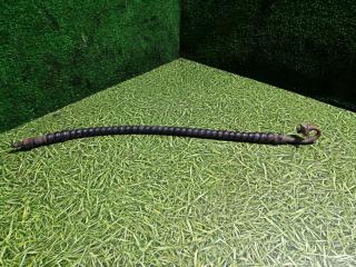 трубка кондиционера IVECO Stralis 2 поколение 2011, 10.3 л., F3AE0681B, дизель, МКПП, 41225581