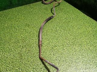 трубка кондиционера DAF XF 105 1 поколение 2007, 12.9 л., MX 300, дизель, МКПП, 1685321