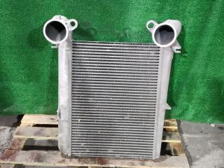 интеркулер DAF CF-series 1 поколение 2009, 12.9 л., MX 300, дизель, МКПП, 1685549, 30298