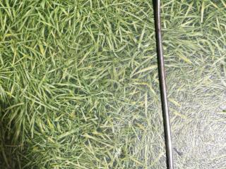 трубка подъема кабины MAN TGX 1 поколение 2008, 10.5 л., D 2066 LF 25, дизель, МКПП, 81417585005