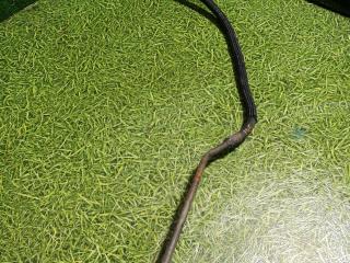 трубка кондиционера MAN TGX 1 поколение 2007, 12.4 л., D 2676 LF 05, дизель, МКПП, 81619750247