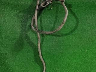 Трубки AdBlue Volvo FM 2 поколение 2011, 10.8 л., D11C450, дизель, АКПП, 20952897