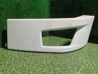 рамка фары противотуманной левой Renault T-Series 1 поколение 2014, дизель, АКПП, 82706550