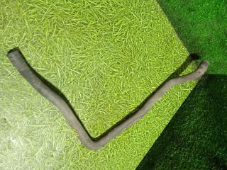 патрубок отопителя (печки) Scania 6-series 2017, 12.7 л., DC 13.148, дизель, АКПП, правый руль, 2327822