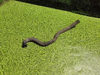 патрубок (трубопровод, шланг) Scania 6-series 2017, 12.7 л., DC 13.148, дизель, АКПП, правый руль, 2327824