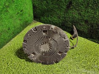 вискомуфта Renault T-Series 1 поколение 2014, дизель, АКПП, 7421990513, 7422037690, 7485013396, 7485019396