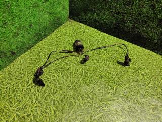 проводка Renault T-Series 1 поколение 2014, дизель, АКПП, 7422192469