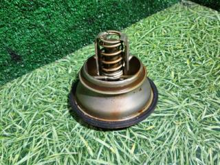 термостат Renault T-Series 1 поколение 2014, дизель, АКПП, 7421412639