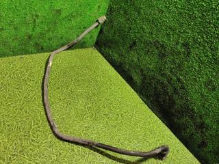 Трубка компрессора Renault T-Series 1 поколение 2014, дизель, АКПП, 7422031940