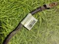 кабель силовой Renault T-Series 1 поколение 2014, дизель, АКПП, 21715007 - фото №2