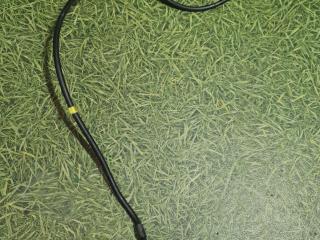 трубка подъема кабины DAF XF 106 1 поколение 2018, дизель, АКПП, правый руль, 1891665