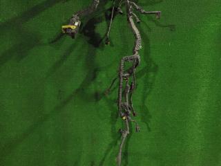 проводка двигателя DAF XF 106 1 поколение 2018, дизель, АКПП, правый руль, 2114609