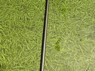 штанга толкателей DAF XF 106 1 поколение 2018, дизель, АКПП, правый руль, 2014634