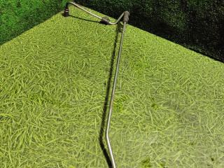 трубка топливная DAF XF 106 1 поколение 2018, дизель, АКПП, правый руль, 2113635