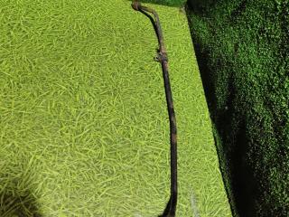 трубка гидроусилителя Scania 5-Series 2005, 11.7 л., DC 12.14, дизель, МКПП, 1454375