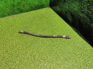 шланг тормозной DAF XF 106 1 поколение 2018, дизель, АКПП, правый руль, 1441668