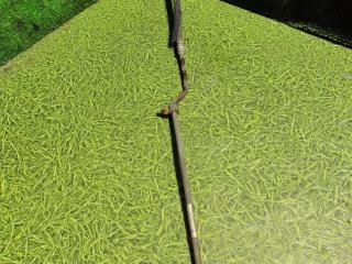 трубка кондиционера MAN TGX 1 поколение 2008, 10.5 л., D 2066 LF 25, дизель, МКПП, 81619750252