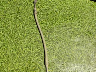 Форсунка Adblue DAF XF 105 1 поколение 2008, 12.9 л., MX 300, дизель, МКПП, белый, 1734003, 1735780