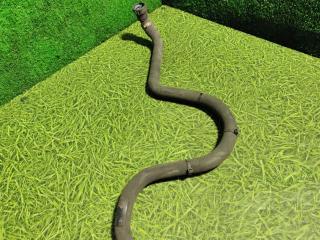 патрубок радиатора Scania 6-series 2017, 12.7 л., DC 13.148, дизель, АКПП, правый руль, 2428603