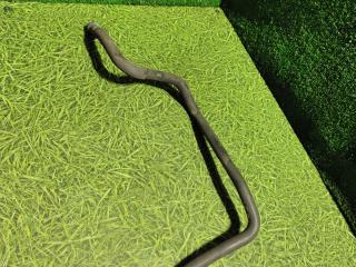 патрубок радиатора Scania 6-series 2017, 12.7 л., DC 13.148, дизель, АКПП, правый руль, 2550008